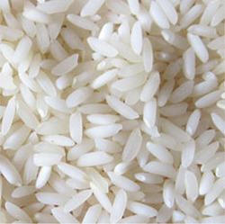 Sona Masoori Raw Rice