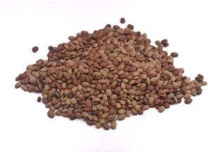 Horse Gram