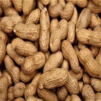 Shelled Peanuts