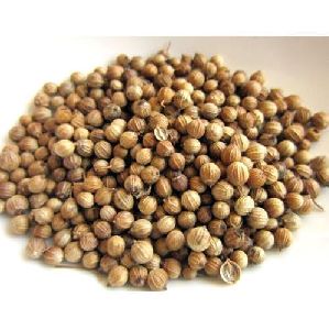 Whole Coriander Seeds