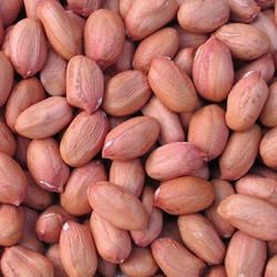 Peanut,Ground Nut Seeds