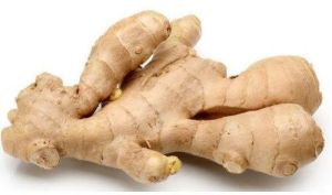 Fresh Ginger