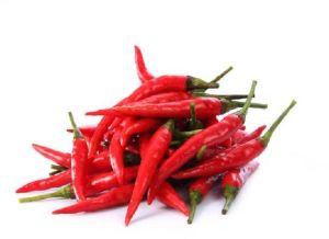 Fresh Red Chili