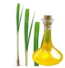 Herbal Ginger Grass Oil