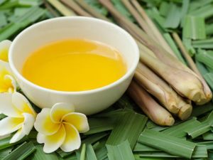 Premium Lemongrass Oil