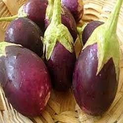 Round Eggplant