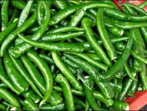 Organic Green Chilli