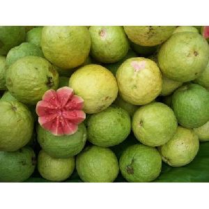 organic Guava