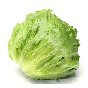 organic lettuce