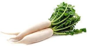 Organic Radish