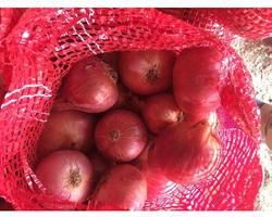 organic red onion