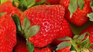 Organic Strawberry