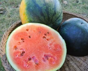 organic watermelon