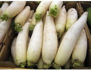 Natural Radish