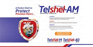 Telshel-AM 4.0 Tablets