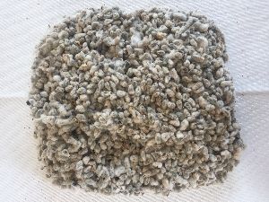 Cottonseed