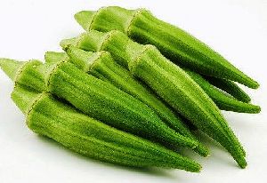 Organic Okra