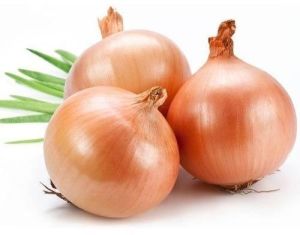 Organic Onion