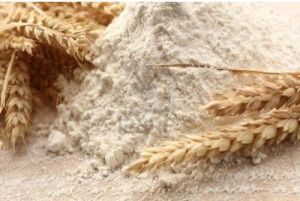 Raw Wheat Flour