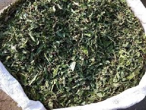 Dried Stevia Leaves