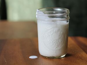 Plain Buttermilk