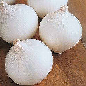 Organic White Onion