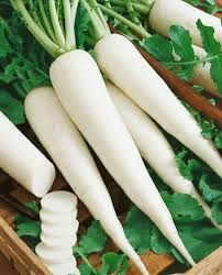 Fresh Radish