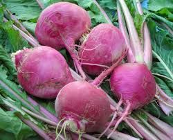 Fresh Turnip