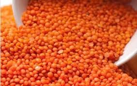 Red Lentil