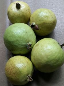 Guava (pink colour country original fruit)