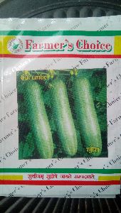 Cucumber Seeds