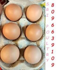 Fresh Poultry Eggs