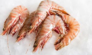 Prawn