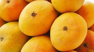 alphonso mango box