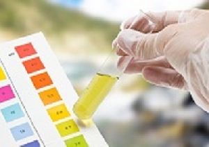 urine testing services