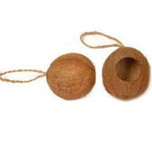 Coconut Shell Bird Feeder