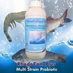 multi strain probiotic