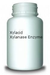 Xylanase Enzyme