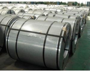 Galvanized Coil