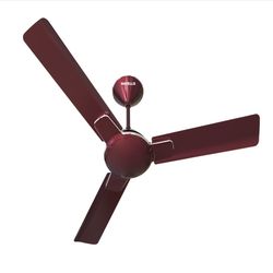 Enticer Ceiling Fans