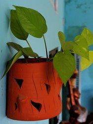 Clay Natural Orchid Wood Planter