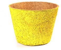 Round Yellow Color Coir Pot