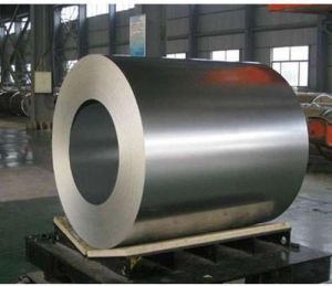 202 Stainless Steel Coil