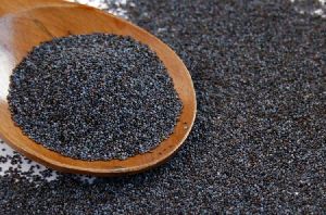 Poppy Seeds