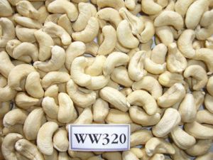 W 320 Cashew Kernels