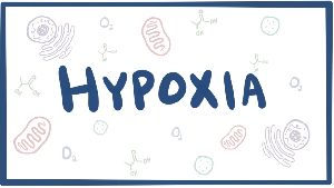 Hypoxia Neurotherapy Treatment