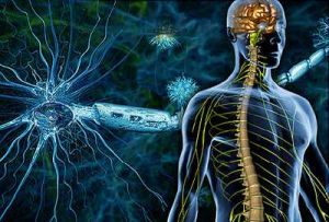 Nervous System Disorder Neurotherapy Treatment