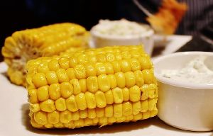 fresh sweet corn