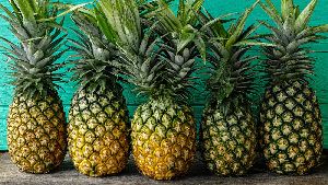 High Quality Pineapple