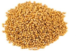 Natural Yellow Mustard Seeds